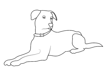 Dog Sitting Posture coloring page