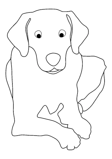 Smart Labrador coloring page
