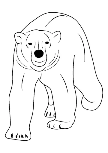 Walking Polar Bear coloring page