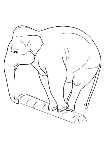 Elephant Balancing on a Log coloring page