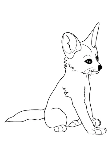 Fennec Fox Baby coloring page