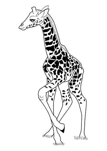 Baby Giraffe coloring page