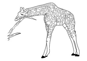 Giraffe Relaxing coloring page