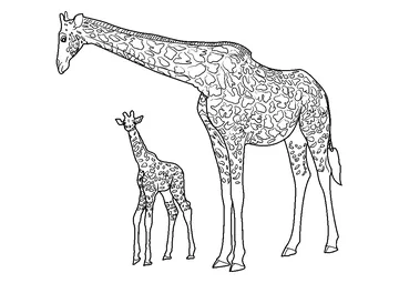 Giraffe with Baby coloring page
