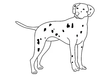 Dalmatian coloring page