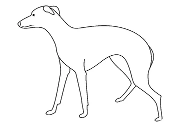 Greyhound Large coloring page