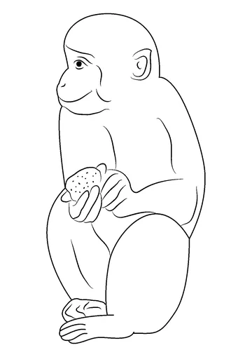 Indian Monkey coloring page