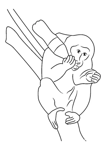 Drink Coke coloring page