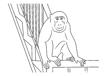 Monkey in Gallery coloring page