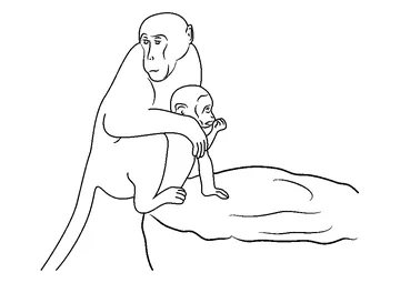Monkey on Way coloring page