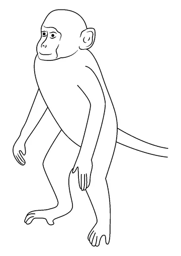 Up Look coloring page