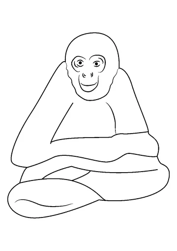 Spider Monkey coloring page