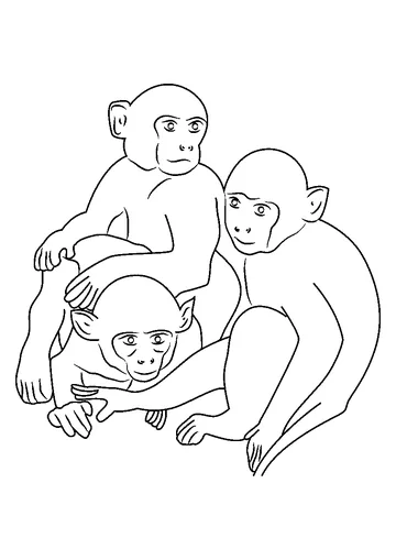 Three Monkeys coloring page