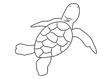 Green Turtle Hatchling coloring page