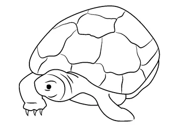 Nervous Turtle coloring page