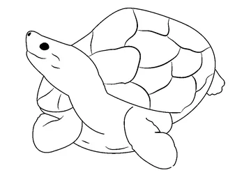 Sitting Turtle coloring page