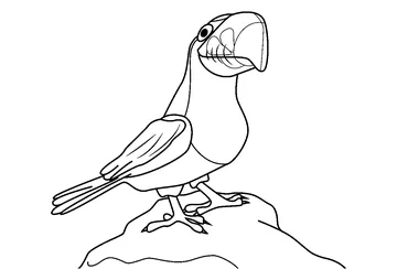 Pico Encanto coloring page