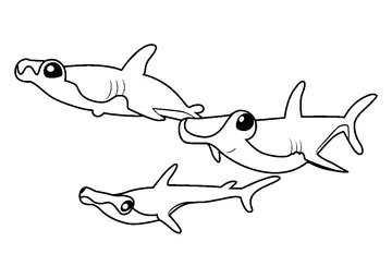 Hammerhead Shark Pup Siblings coloring page