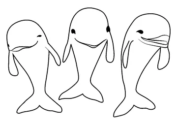 The Dolphins Octonauts coloring page