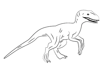 Raptors coloring page