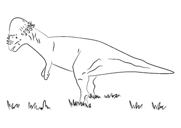 Pachycephalosaurus On Grass coloring page