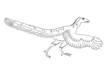 Archaeopteryx Dino coloring page