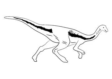 Gallimimus Dino coloring page