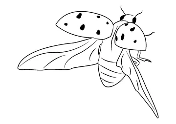 Flying Ladybug coloring page