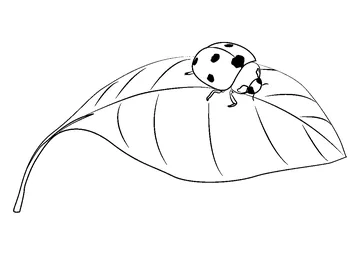 Ladybug On A Leaf coloring page