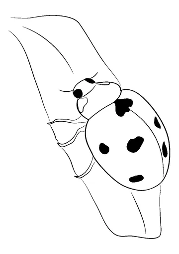 Luck Ladybug coloring page