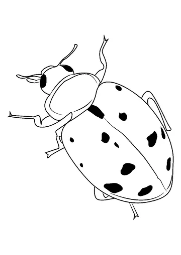 Spirit Of Ladybug coloring page
