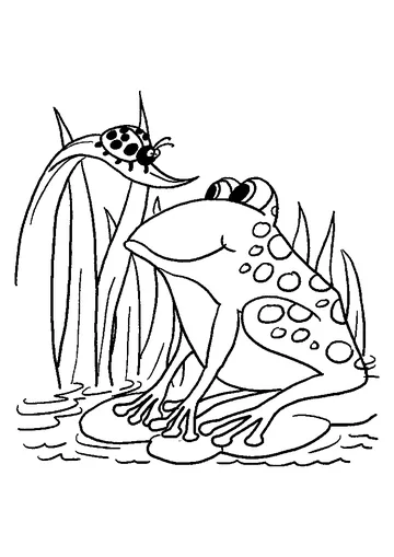 Frog and Ladybug coloring page