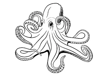 Smoothskin Octopus coloring page