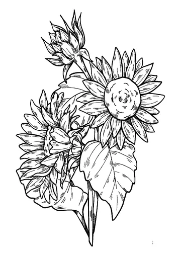 Sunflowers coloring page