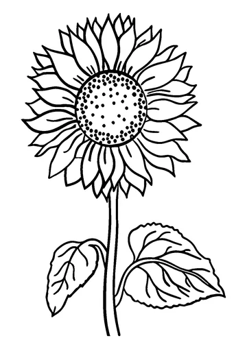Sunflower coloring page