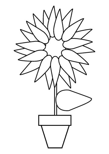 Sunflower in a pot coloring page