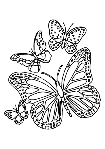 Four Lovely Butterflies coloring page