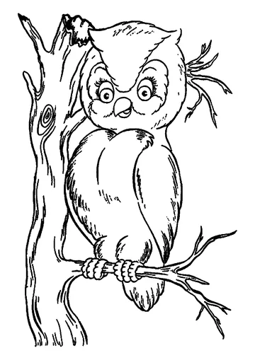 Cute Owl coloring page