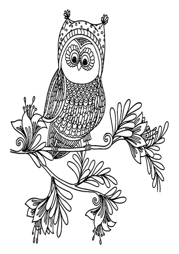 Owl coloring page