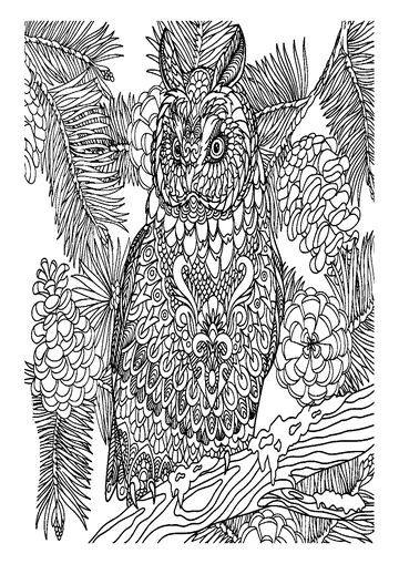 Owl coloring page