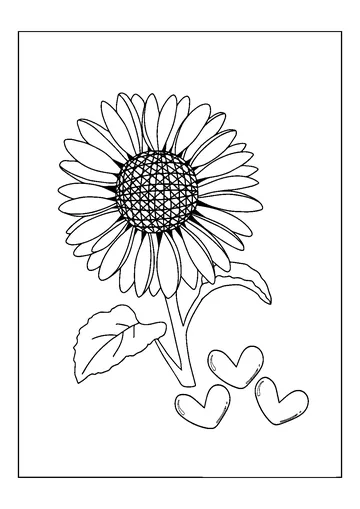Sunflower coloring page