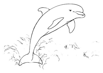 Dolphin jumping from water coloring page