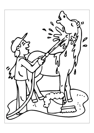 Funny Horses coloring page