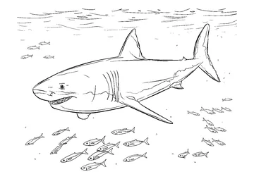 Great white shark with pilot fishes coloring page