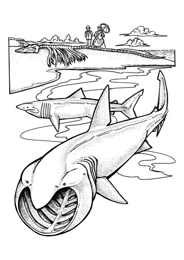 Two basking shark near the beach coloring page