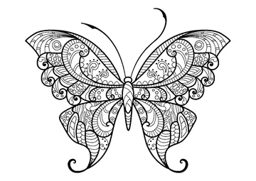 Butterfly with beautiful & intricate patterns - 12 coloring page