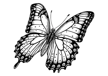 Dark Butterfly coloring page