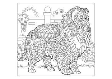 Dog to color : Collie coloring page