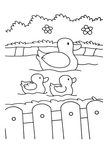 Three ducks coloring page