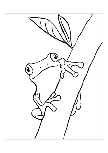 Beautiful frog coloring page